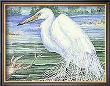 American Egret by Paul Brent Limited Edition Print