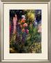 Spring Medley Ii by Greg Singley Limited Edition Print