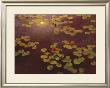 Lilies And Light by Greg Singley Limited Edition Pricing Art Print