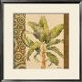 Parlor Palm I by Paul Brent Limited Edition Print