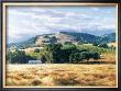 Wine Country by June Carey Limited Edition Print