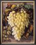 First Premium Grapes by Currier & Ives Limited Edition Print