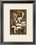 Golden Calla Lilies by Linda Thompson Limited Edition Pricing Art Print