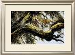 Leopard Sentry by Spencer Hodge Limited Edition Pricing Art Print