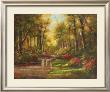Enchanted Creek Ii by Roberta Wesley Limited Edition Pricing Art Print