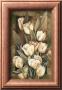 Golden Tulips by Linda Thompson Limited Edition Print