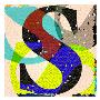 Letter S by Miguel Paredes Limited Edition Print