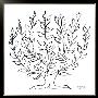 Le Platane, C.1951 by Henri Matisse Limited Edition Print