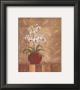 Orchid Obsession I by Vivian Flasch Limited Edition Print