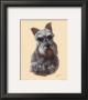 Schnauzer by Judy Gibson Limited Edition Pricing Art Print