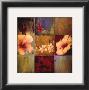Tropical Nine Patch Ii by Don Li-Leger Limited Edition Print