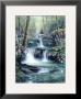 Blue Ridge Falls by Egidio Antonaccio Limited Edition Print