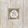 Beadboard Sanddollar by Paul Brent Limited Edition Print