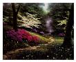 Dogwood Trail by Egidio Antonaccio Limited Edition Print