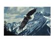 Wings Over Winter by Ron Parker Limited Edition Print