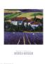 Lavender Of Roussillon by Barbara Mccann Limited Edition Print