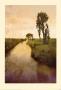 Meandering Ii by Thea Schrack Limited Edition Pricing Art Print