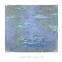 Nympheas, 1903 by Claude Monet Limited Edition Print