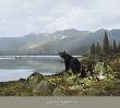 Visitors In Camp by Michael Coleman Limited Edition Print