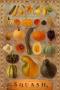 Squash by Mark Miller Limited Edition Print