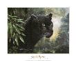 Black Panther by Don Balke Limited Edition Print