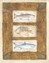 Sport Fish I by Mary Beth Zeitz Limited Edition Print