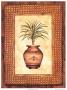 Rattan With Palms Ii by Steve Butler Limited Edition Pricing Art Print