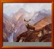 The Highlands by Michael Coleman Limited Edition Print