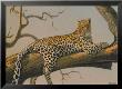 Lounging Leopard by Clive Kay Limited Edition Print