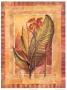 Tropical Splendor Ii by Steve Butler Limited Edition Pricing Art Print