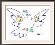 Dove Of Peace  Blue by Pablo Picasso Limited Edition Pricing Art Print