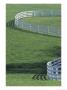 White Fence On Horse Farm, Lexington, Kentucky, Usa by Adam Jones Limited Edition Print