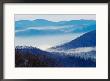 Southern Appalachian Mountains, Great Smoky Mountains National Park, North Carolina, Usa by Adam Jones Limited Edition Print