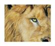 Eye Of The Lion by Lucie Bilodeau Limited Edition Pricing Art Print