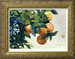 Oranges On A Branch, 1885 by Winslow Homer Limited Edition Pricing Art Print