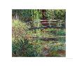Waterlily Pond: Pink Harmony, 1900 by Claude Monet Limited Edition Print