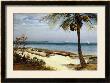 Tropical Coast by Albert Bierstadt Limited Edition Print