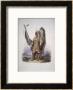 Mato-Tope, A Mandan Chief by Karl Bodmer Limited Edition Print