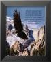 Freedom: Eagle In Flight by Don Balke Limited Edition Print