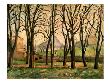 Chestnut Trees At The Jas De Bouffan, C.1885-87 (Oil On Canvas) by Paul Cezanne Limited Edition Print