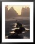 Tidepools And Seastacks, Shi Shi Beach, Olympic National Park, Washington, Usa by Adam Jones Limited Edition Print