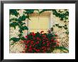 Vine And Flowers Around Window, Brixen, Italy by Adam Jones Limited Edition Print