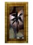 New Palms Xiii by Miguel Paredes Limited Edition Print