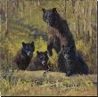 Twin Mountain Triplets by Karen Bonnie Limited Edition Print