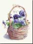 Grapevine Pansy Basket by Mary Kay Krell Limited Edition Pricing Art Print