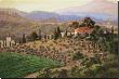 Glint Of Tuscan Sun by Erin Dertner Limited Edition Print