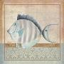 Vintage Fish Ii by Mary Beth Zeitz Limited Edition Print