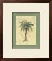St. Augustine by Janet Kruskamp Limited Edition Pricing Art Print
