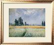 Wheatfield, 1881 by Claude Monet Limited Edition Print