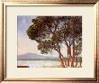 La Plage De Juan-Les-Pins by Claude Monet Limited Edition Pricing Art Print